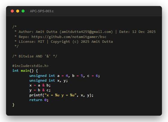 Bitwise AND '&'
